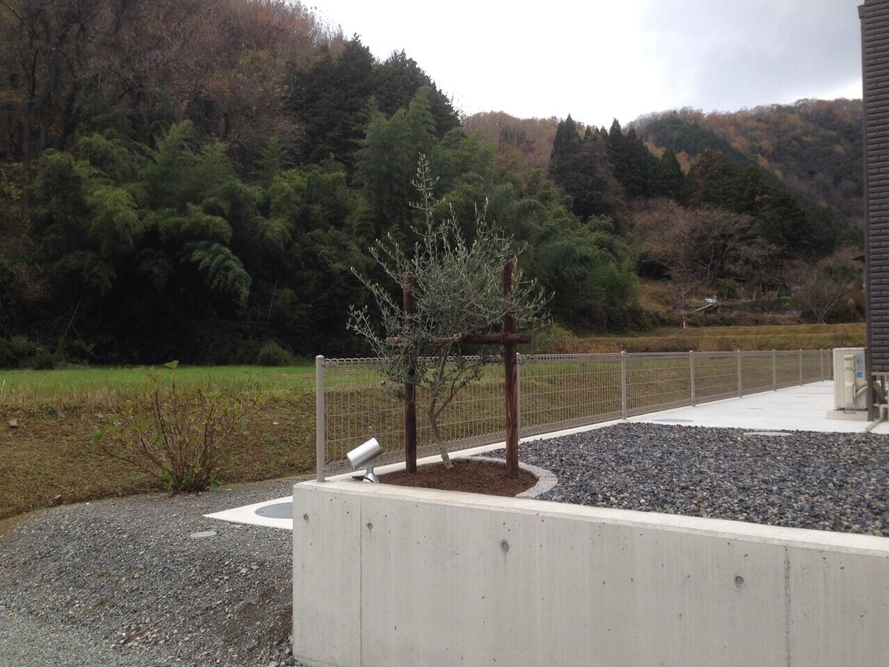 ���� �J�[�|�[�g �G�N�X�e���A ���� ����