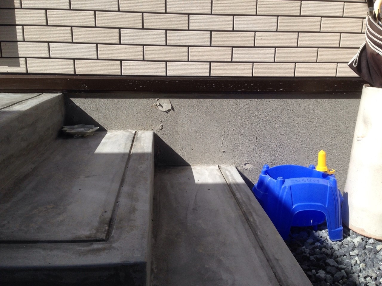 ���� �J�[�|�[�g �G�N�X�e���A ���� ����