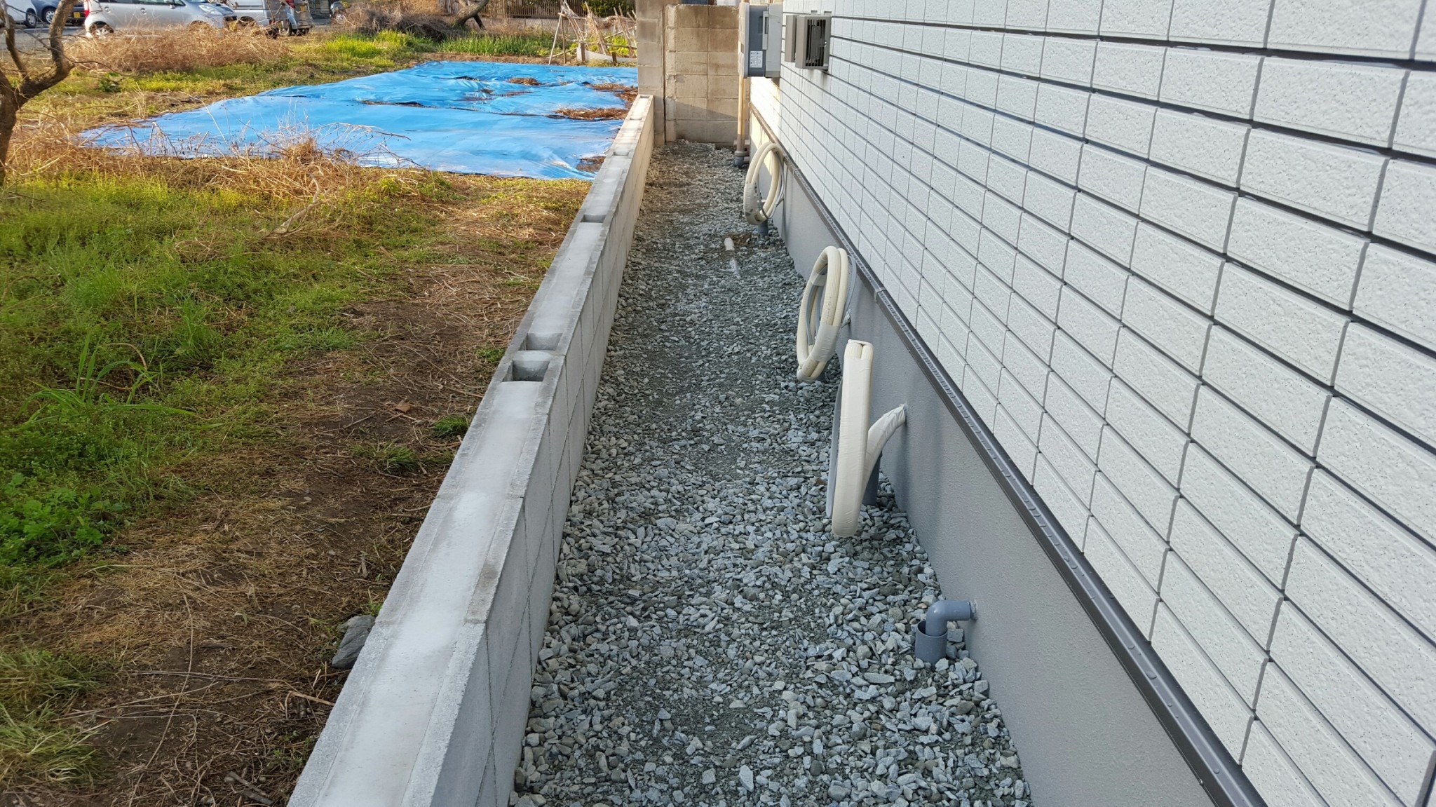 ���� �J�[�|�[�g �G�N�X�e���A ���� ����