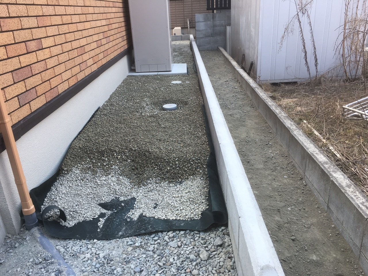 ���� �J�[�|�[�g �G�N�X�e���A ���� ����