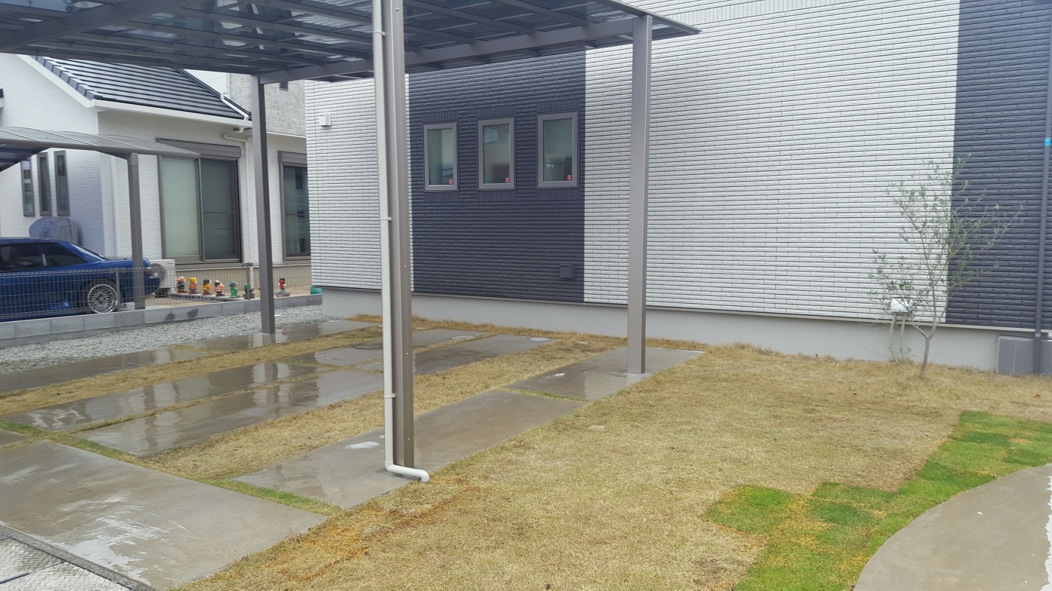 ���� �J�[�|�[�g �G�N�X�e���A ���� ����