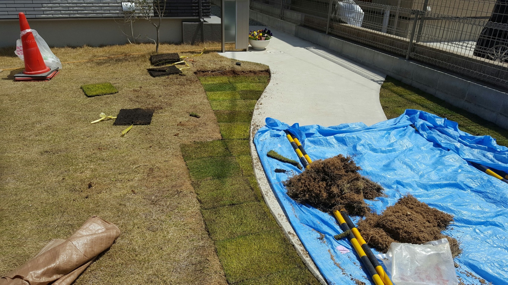 ���� �J�[�|�[�g �G�N�X�e���A ���� ����