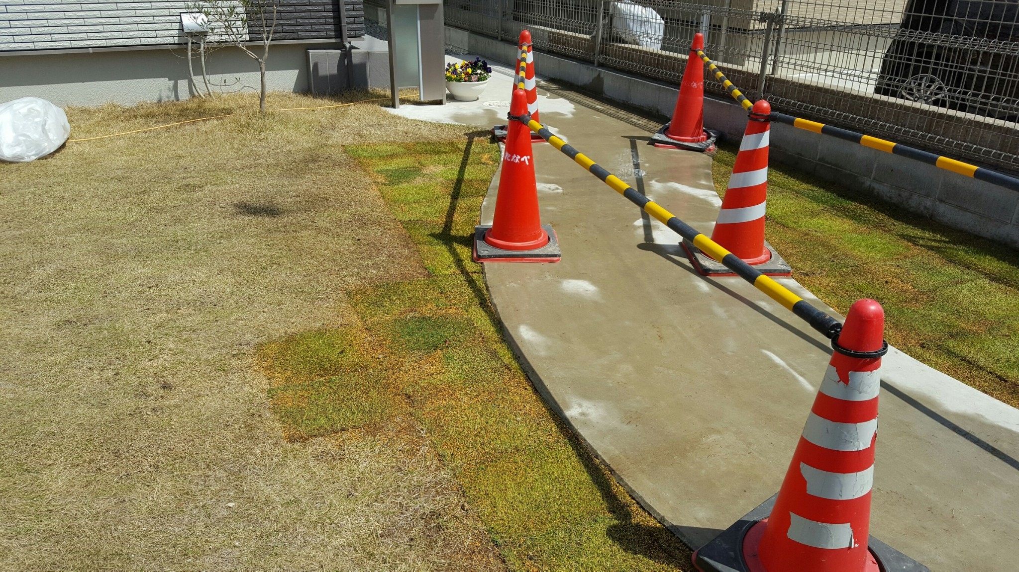 ���� �J�[�|�[�g �G�N�X�e���A ���� ����