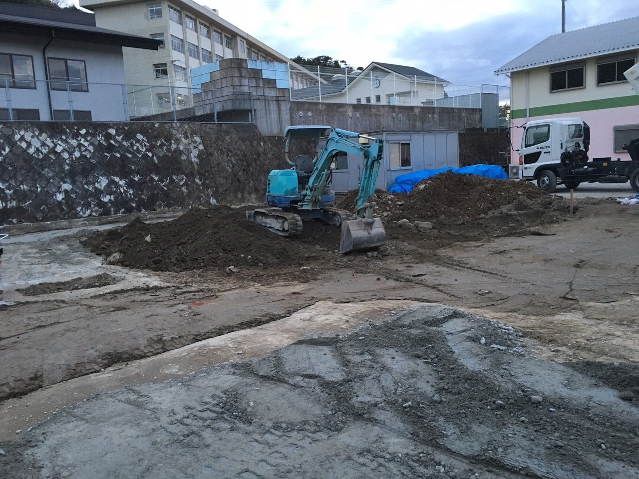 ���� �J�[�|�[�g �G�N�X�e���A ���� ����