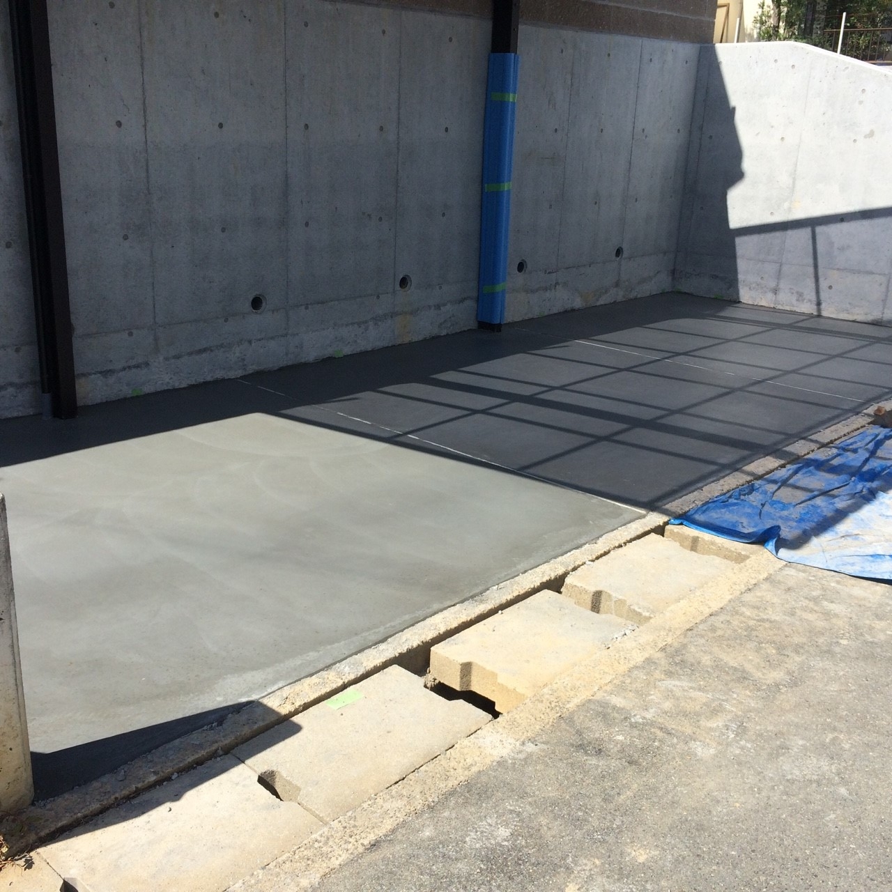 ���� �J�[�|�[�g �G�N�X�e���A ���� ����