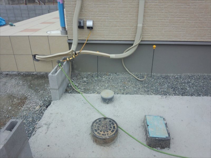 ���� �J�[�|�[�g �G�N�X�e���A ���� ����