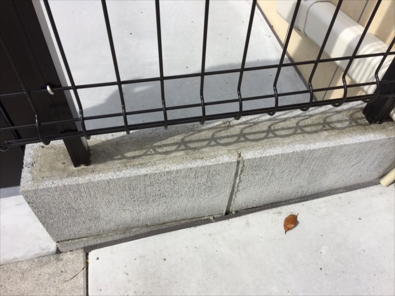 ���� �J�[�|�[�g �G�N�X�e���A ���� ����