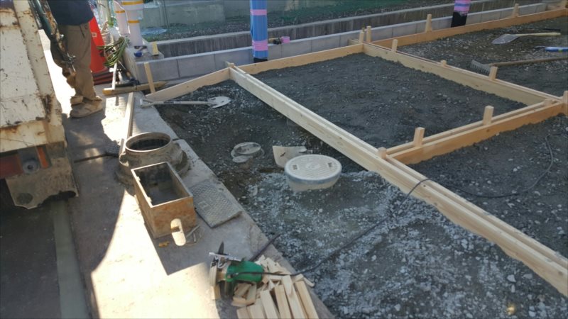 ���� �J�[�|�[�g �G�N�X�e���A ���� ����