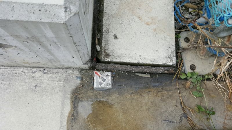 ���� �J�[�|�[�g �G�N�X�e���A ���� ����