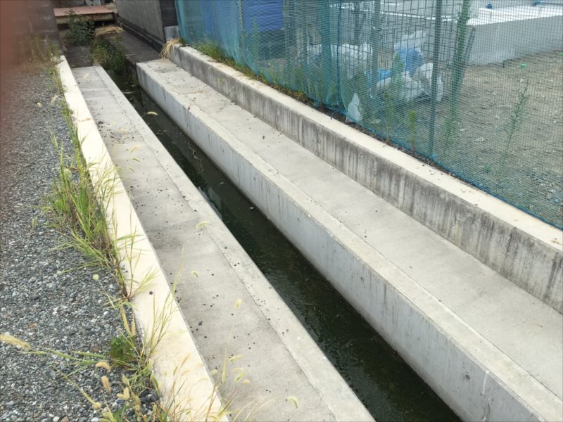 ���� �J�[�|�[�g �G�N�X�e���A ���� ����