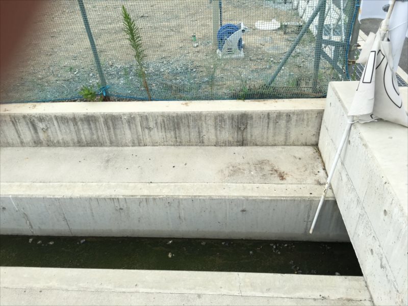 ���� �J�[�|�[�g �G�N�X�e���A ���� ����