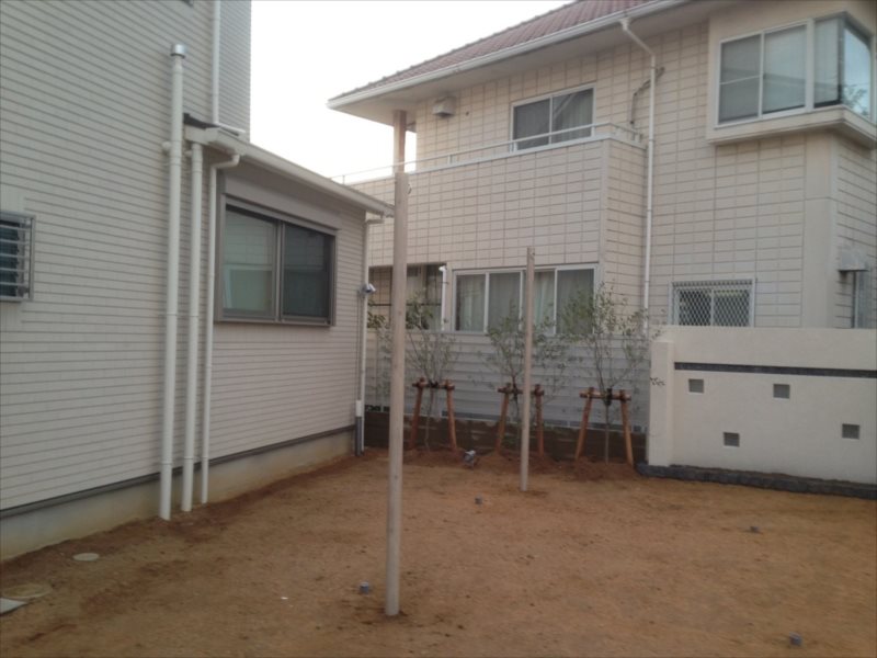 ���� �J�[�|�[�g �G�N�X�e���A ���� ����