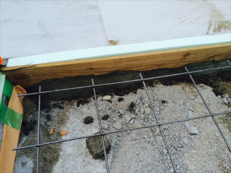 ���� �J�[�|�[�g �G�N�X�e���A ���� ����