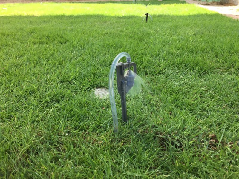 ���� �J�[�|�[�g �G�N�X�e���A ���� ����