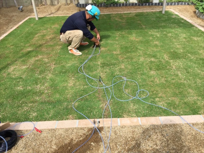 ���� �J�[�|�[�g �G�N�X�e���A ���� ����