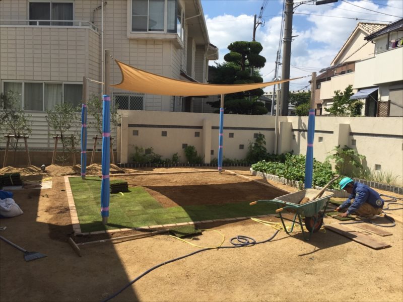 ���� �J�[�|�[�g �G�N�X�e���A ���� ����