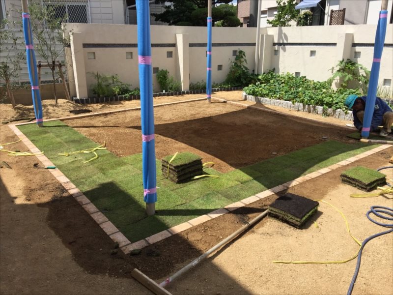 ���� �J�[�|�[�g �G�N�X�e���A ���� ����