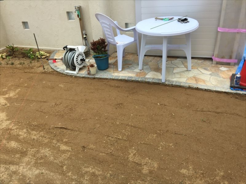 ���� �J�[�|�[�g �G�N�X�e���A ���� ����