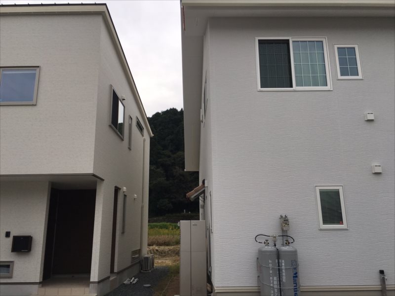 ���� �J�[�|�[�g �G�N�X�e���A ���� ����