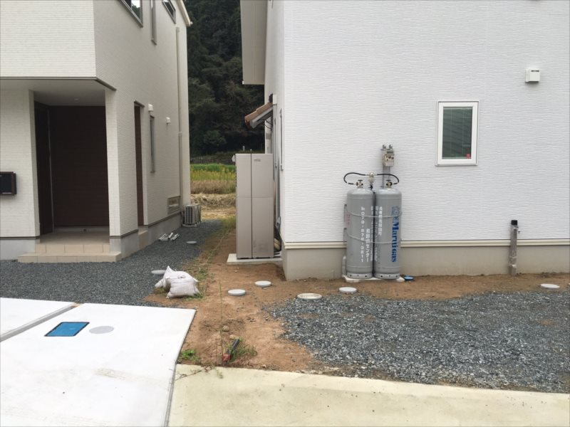 ���� �J�[�|�[�g �G�N�X�e���A ���� ����