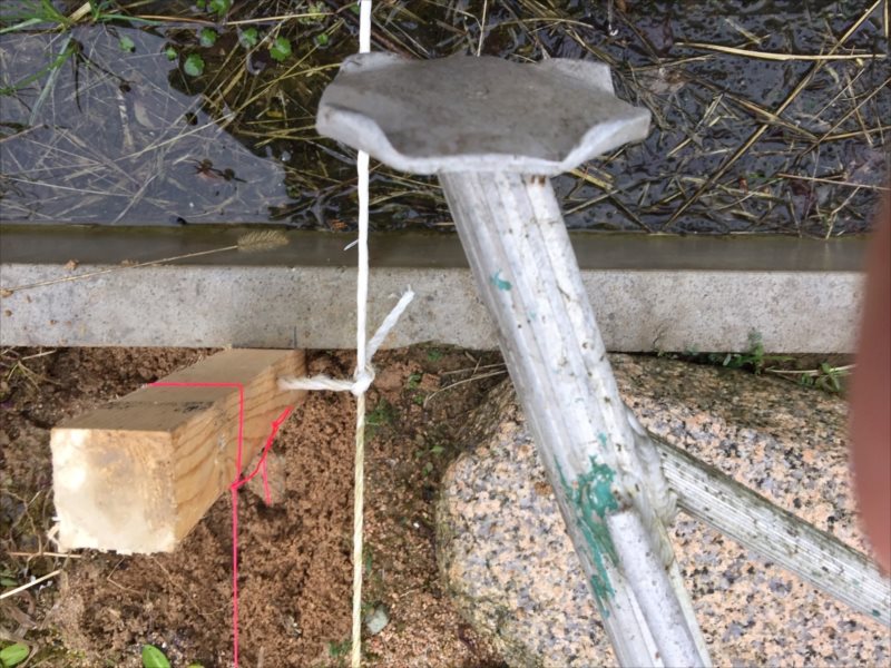 ���� �J�[�|�[�g �G�N�X�e���A ���� ����