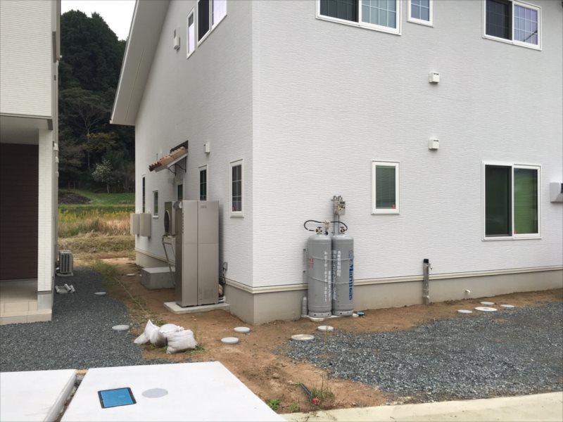 ���� �J�[�|�[�g �G�N�X�e���A ���� ����