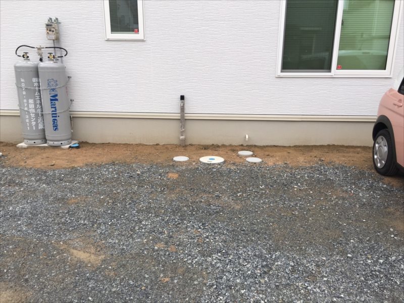 ���� �J�[�|�[�g �G�N�X�e���A ���� ����