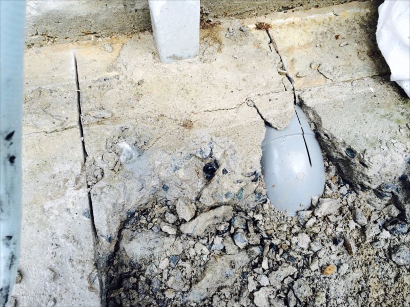 ���� �J�[�|�[�g �G�N�X�e���A ���� ����