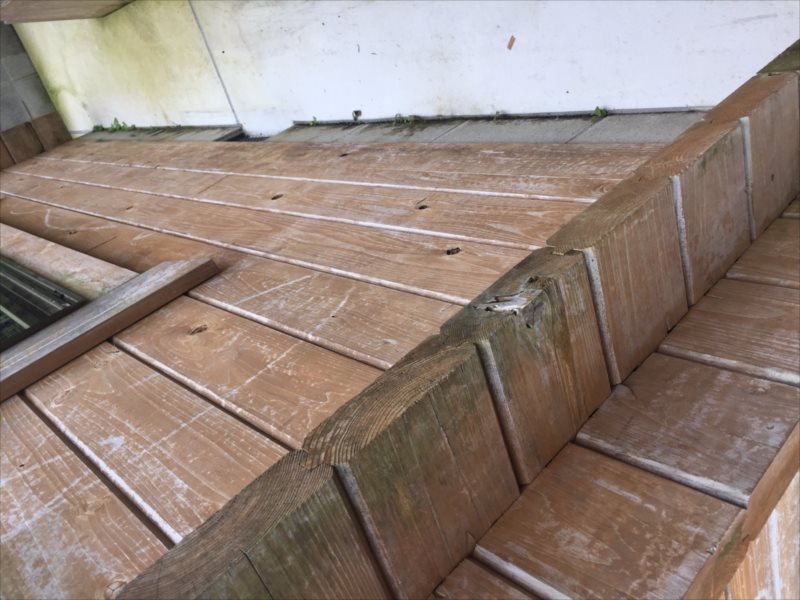 ���� �J�[�|�[�g �G�N�X�e���A ���� ����