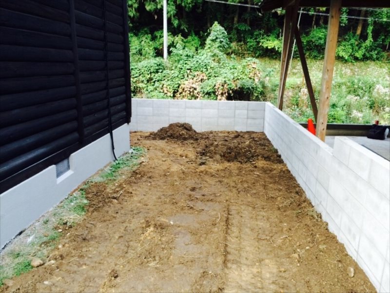 ���� �J�[�|�[�g �G�N�X�e���A ���� ����