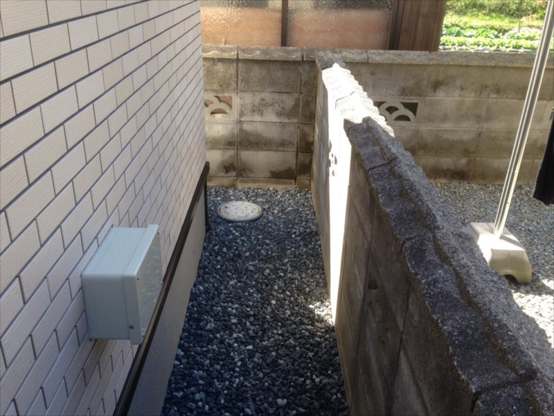 ���� �J�[�|�[�g �G�N�X�e���A ���� ����