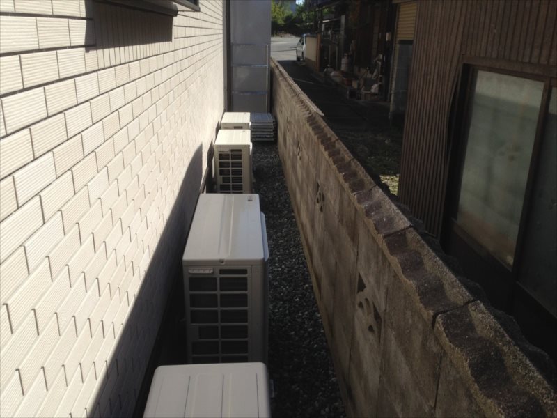 ���� �J�[�|�[�g �G�N�X�e���A ���� ����