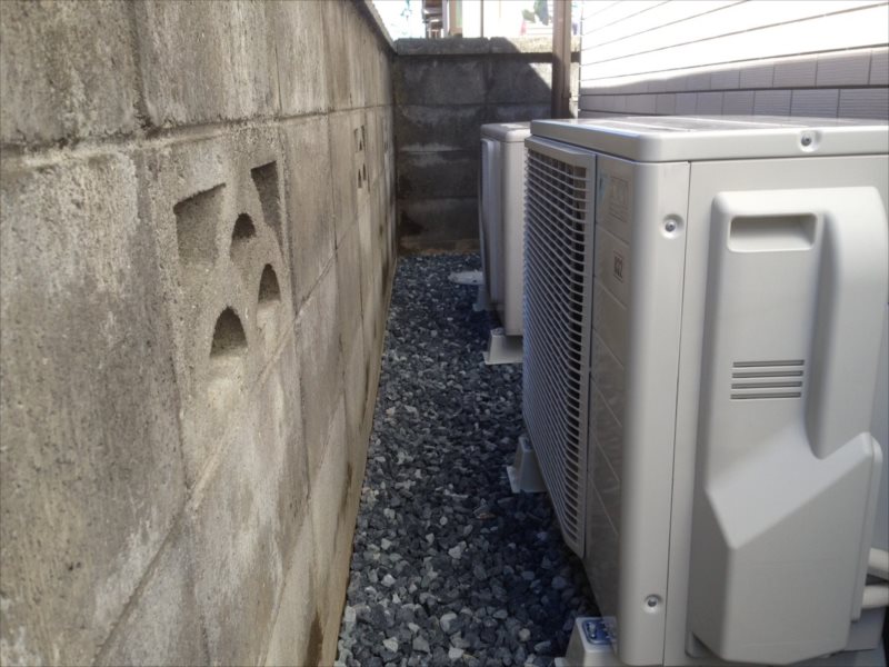 ���� �J�[�|�[�g �G�N�X�e���A ���� ����