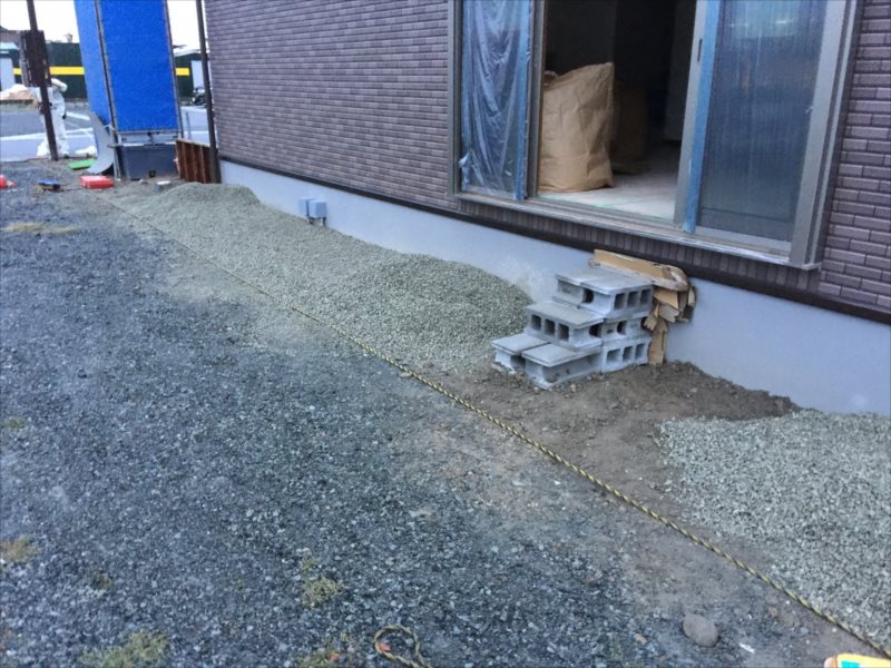 ���� �J�[�|�[�g �G�N�X�e���A ���� ����