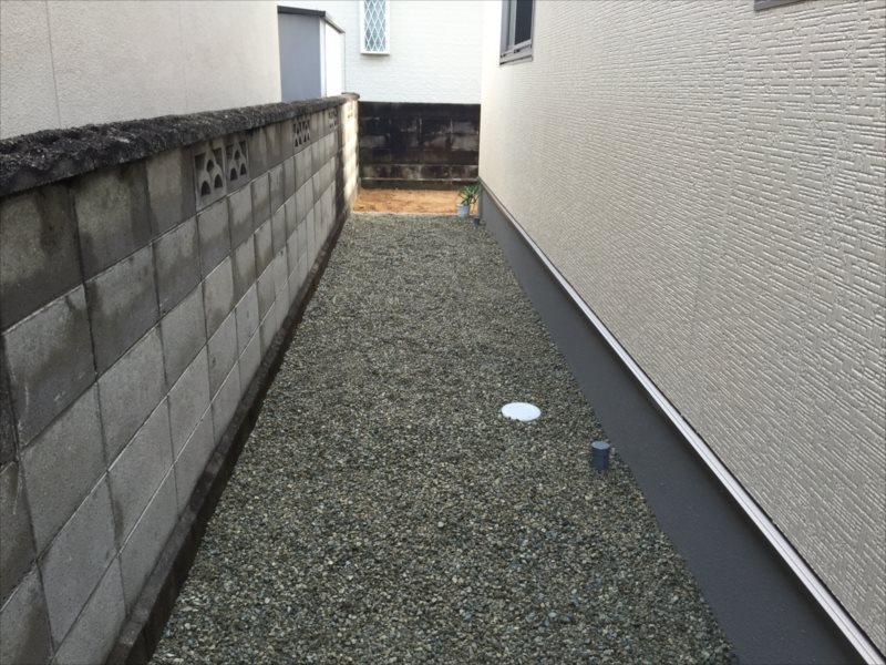 ���� �J�[�|�[�g �G�N�X�e���A ���� ����