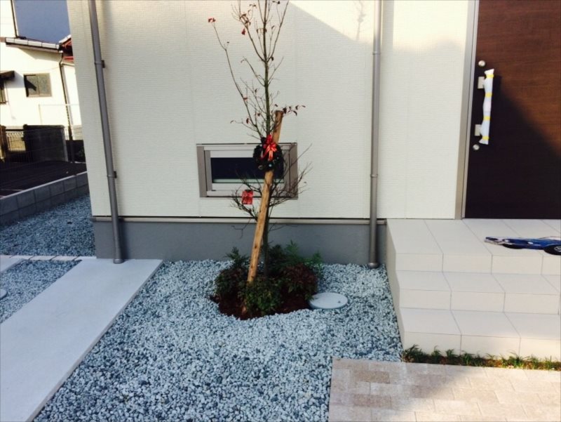 ���� �J�[�|�[�g �G�N�X�e���A ���� ����