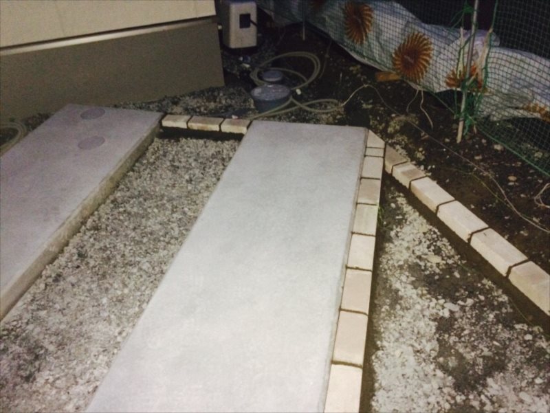 ���� �J�[�|�[�g �G�N�X�e���A ���� ����