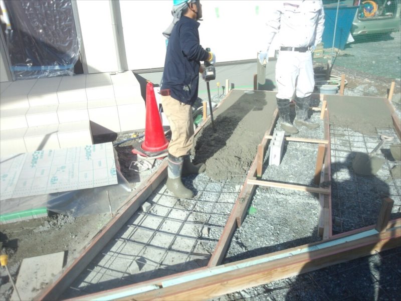 ���� �J�[�|�[�g �G�N�X�e���A ���� ����