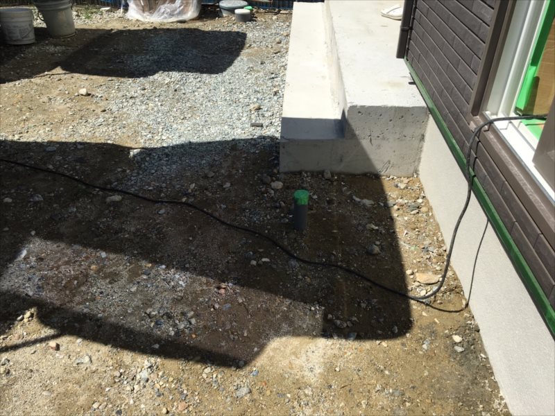 ���� �J�[�|�[�g �G�N�X�e���A ���� ����