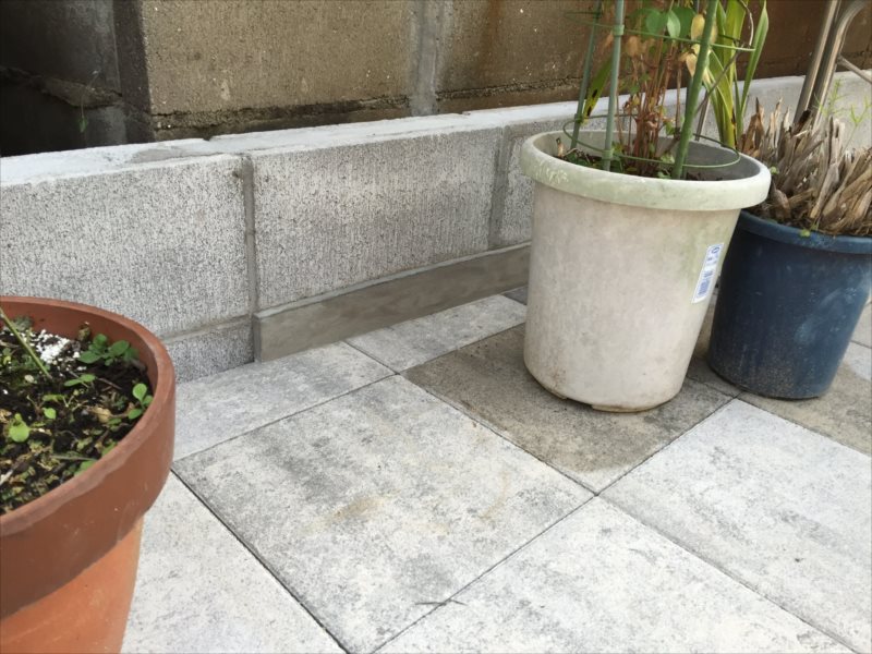 ���� �J�[�|�[�g �G�N�X�e���A ���� ����