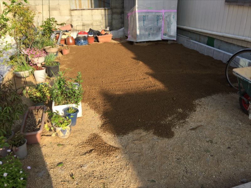 ���� �J�[�|�[�g �G�N�X�e���A ���� ����