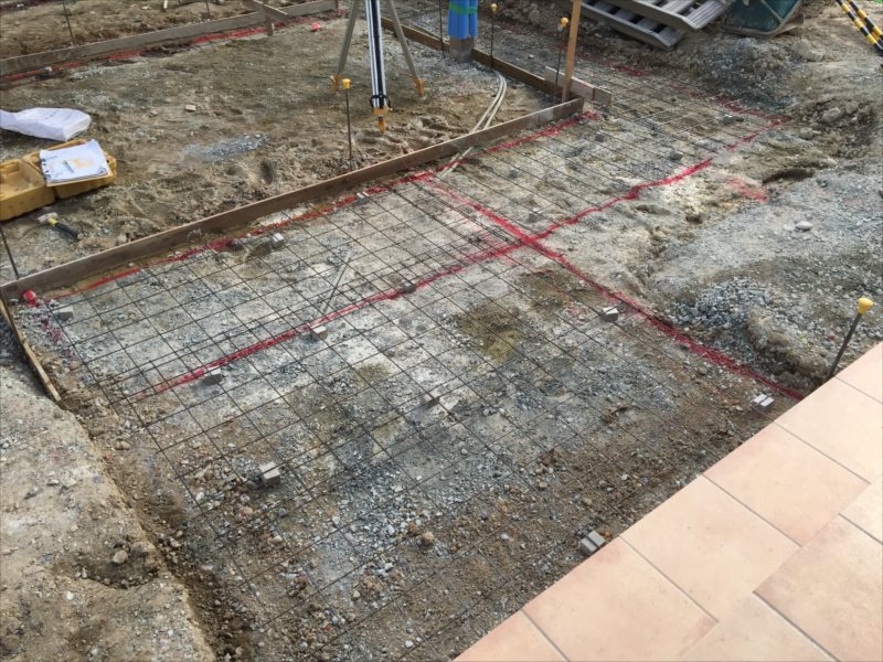 ���� �J�[�|�[�g �G�N�X�e���A ���� ����