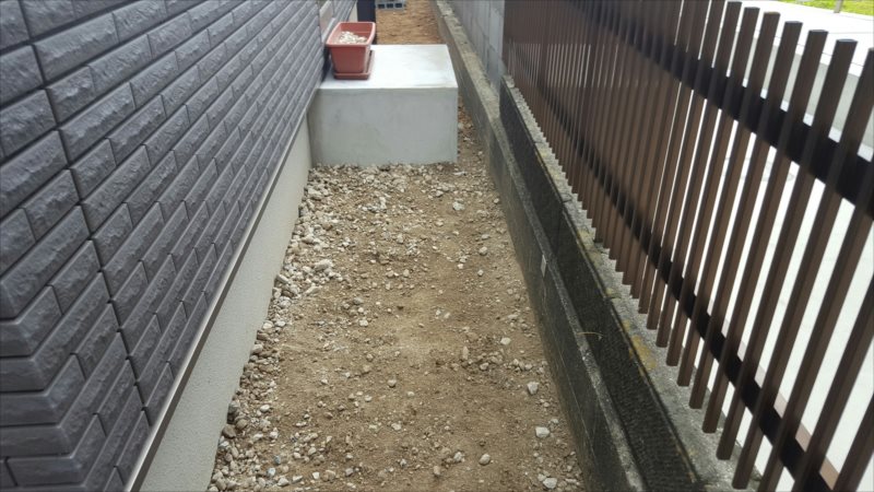 ���� �J�[�|�[�g �G�N�X�e���A ���� ����