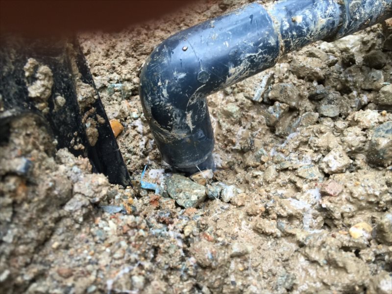 ���� �J�[�|�[�g �G�N�X�e���A ���� ����