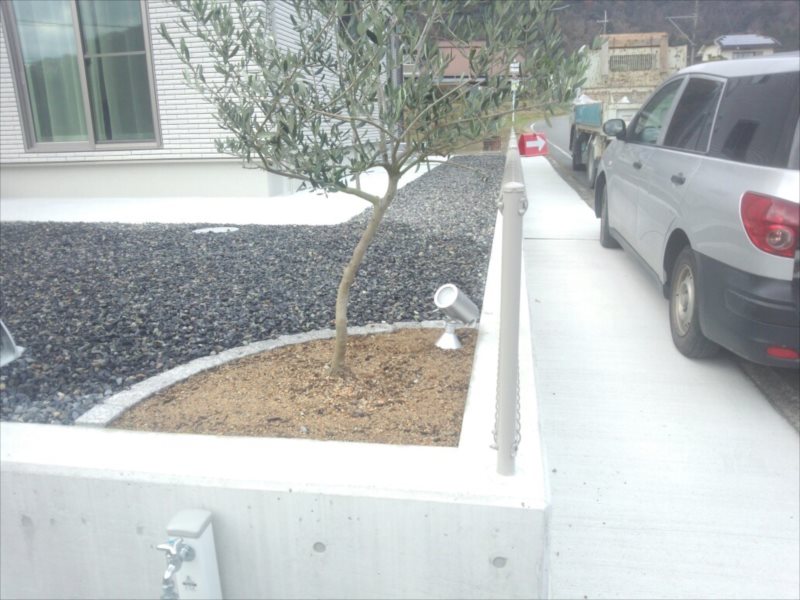 ���� �J�[�|�[�g �G�N�X�e���A ���� ����