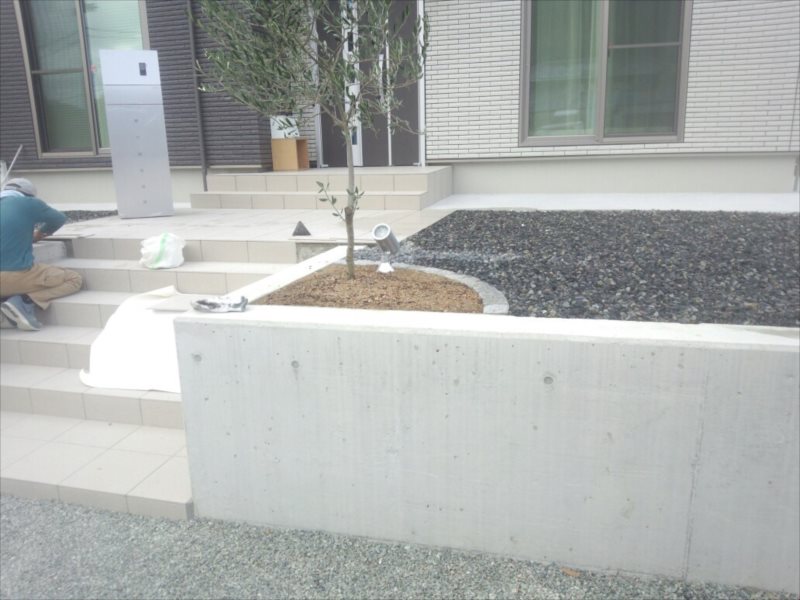 ���� �J�[�|�[�g �G�N�X�e���A ���� ����