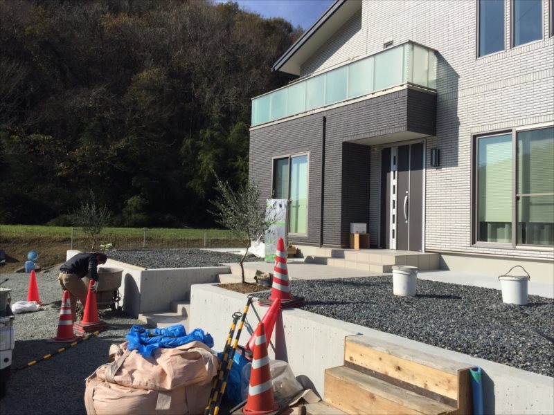 ���� �J�[�|�[�g �G�N�X�e���A ���� ����