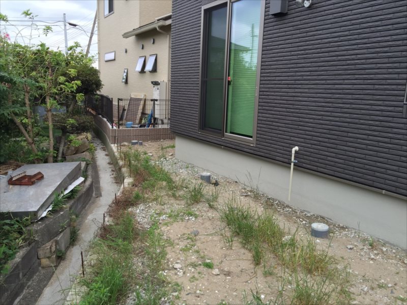 ���� �J�[�|�[�g �G�N�X�e���A ���� ����