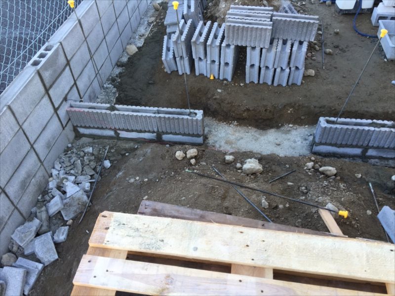 ���� �J�[�|�[�g �G�N�X�e���A ���� ����