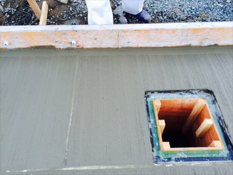 ���� �J�[�|�[�g �G�N�X�e���A ���� ����